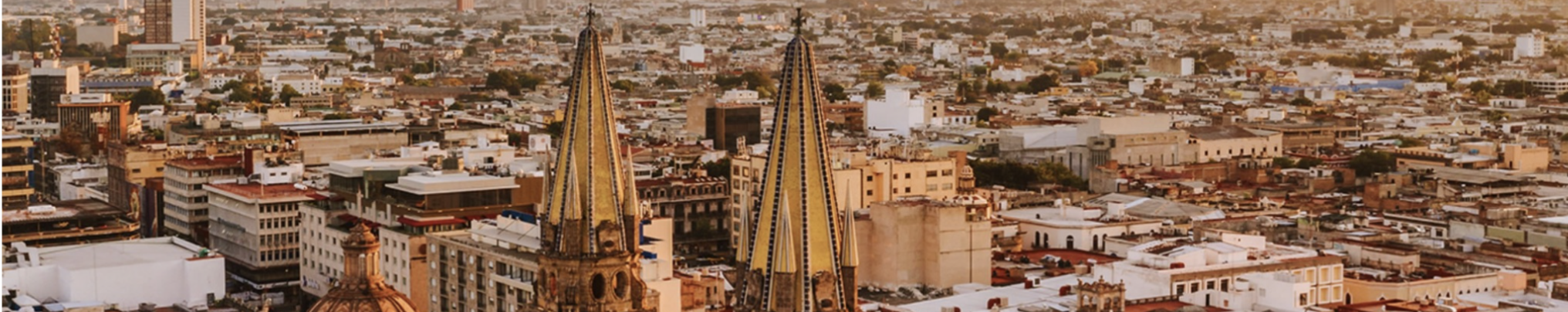 toma de detalles de la catedral de Guadalajara