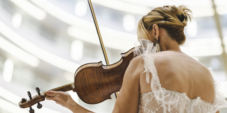 violin-8405558_1-543